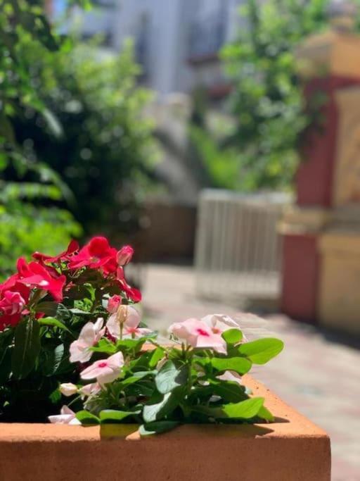 Palacete Del Porvenir Seville Ngoại thất bức ảnh